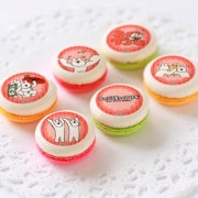 �ץ�ޥ�����6�ĥ��åȡʤ��ˤ��ˡ���ŵ�̥Хå��դ���[�����֤�ư��������]