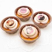 Сǡץꥫåץ2022ɹˡŵ̥Хåդ[Ȥ᤭ꥢ Girl's Side 1st Love Plus]