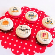 Х󥿥ץޥ6ĥå2023ŵ̥Хåդ[ҤΥڥå]