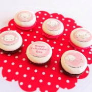 Х󥿥ץޥ6ĥå2023ŵ̥Хåդ[ߤ]