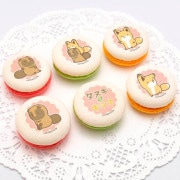 �ץ�ޥ�����6�ĥ��åȡ�B���ˡ���ŵ�̥Хå��դ���[���̥��ȥ��ĥ�]