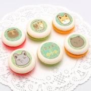 �ץ�ޥ�����6�ĥ��åȡ�A���ˡ���ŵ�̥Хå��դ���[���̥��ȥ��ĥ�]