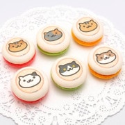 �ץ�ޥ�����6�ĥ��åȡʤम��餵����Ϥ����Ӥ���������Ȥ餵�����������������Ϥ���줵�������Ϥ�����ʴ饢�åסˡˡ���ŵ�̥Хå��դ���[�ͤ����Ĥ�]