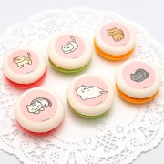 �ץ�ޥ�����6�ĥ��åȡʤޤ󤾤����������Ȥ餵��������ͤ���������꡼�व��������Ȥ餵������ФȤ餵��ˡ���ŵ�̥Хå��դ���[�ͤ����Ĥ�]