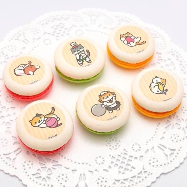 プリマカロン6個セット（びすとろさん＆しろちゃとらさん＆とびみけ