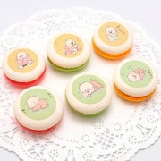 ץޥ6ĥåȡŵ̥Хåդ[]