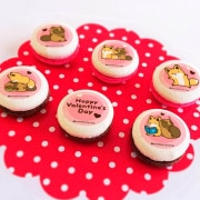 �Х�󥿥���ץ�ޥ�����6�ĥ��å�2024����ŵ�̥Хå��դ���[���̥��ȥ��ĥ�]