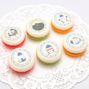 �ץ�ޥ�����6�ĥ��åȡ��ͤ�ȥڥ󥮥�ˡ���ŵ�̥Хå��դ���[chiiko]