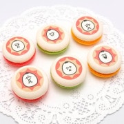 �ץ�ޥ�����6�ĥ��åȡ���ŵ�̥Хå��դ���[����]