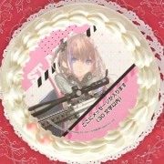 �ڥ�å���������ۥץꥱ������ST AR-15�ˡ���ŵ�֥��ޥ����դ���[�ɡ��륺�ե���ȥ饤��]