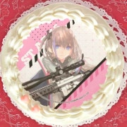�ץꥱ������ST AR-15�ˡ���ŵ�֥��ޥ����դ���[�ɡ��륺�ե���ȥ饤��]