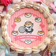 �Х�󥿥���ץꥱ����2024����ŵ�̥Хå��դ���[�ͤ����Ĥ�]