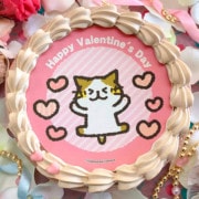 �Х�󥿥���ץꥱ����2024����ŵ�̥Хå��դ���[�����ѥ�]