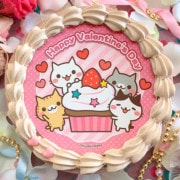 �Х�󥿥���ץꥱ����2024����ŵ�̥Хå��դ���[�ͤ��δ̵ͤ�]