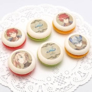 �ץ�ޥ�����6�ĥ��åȡʥ��ɥ����������ˡ���ŵ�̥Хå��դ���[������X -NORDICS-]