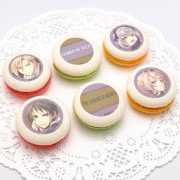 �ץ�ޥ�����6�ĥ��åȡ��Ϥε���(�롼�ե���&��ԥ�&����������ʡ��ǥ���)�ˡ���ŵ�̥Хå��դ���[��ͺ����ֵ��סץ��꡼��]