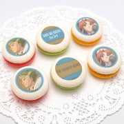 �ץ�ޥ�����6�ĥ��åȡʶ��ε��� the 3rd(���ӥ���꡼��)�ˡ���ŵ�̥Хå��դ���[��ͺ����ֵ��סץ��꡼��]