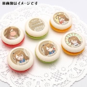 �С����ǡ��ץ�ޥ�����6�ĥ��å�2025���� �ơˡ���ŵ�̥Хå��դ���[���ɥ���������]