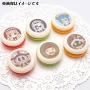 �ץ�ޥ�����6�ĥ��åȡ�B���ˡ���ŵ�̥Хå��դ���[���Х����ɥ���]