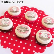 �Х�󥿥���ץ�ޥ�����6�ĥ��å�2025�ʤ��ޤ���ˡ���ŵ�̥Хå��դ���[��å����������]