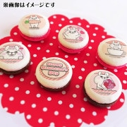 �Х�󥿥���ץ�ޥ�����6�ĥ��å�2025�ʤ���������ˡ���ŵ�̥Хå��դ���[��å����������]