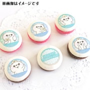 �ۥ磻�ȥǡ��ץ�ޥ�����6�ĥ��å�2025�ʤ��ޤ���ˡ���ŵ�̥Хå��դ���[��å����������]