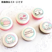 �ۥ磻�ȥǡ��ץ�ޥ�����6�ĥ��å�2025�ʤ�������������ޤ���ˡ���ŵ�̥Хå��դ���[��å����������]