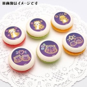 ץޥ6ĥåȡʥͥǥˡŵ̥Хåդ[饹]