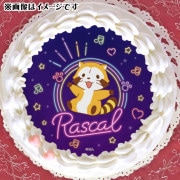 ץꥱʥͥǥˡŵ̥Хåդ[饹]