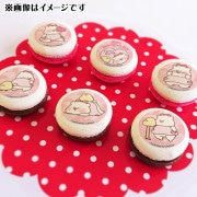 �Х�󥿥���ץ�ޥ�����6�ĥ��å�2025����ŵ�̥Хå��դ���[�Ȥ�����Ϥ���]