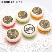 �ץ�ޥ�����6�ĥ��åȡʲ��⵳�Υ����ʺ���ݲ�ˡˡ���ŵ�̥Хå��դ���[��ϵ��GARO��]