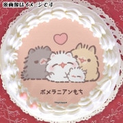 ץꥱŵ̥Хåդ[ݥ˥]