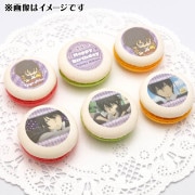 �С����ǡ��ץ�ޥ�����6�ĥ��å�2024�ʱ��������2020���Ρˡˡ���ŵ�̥Хå��դ���[�������եҥåȥޥ�REBORN!]