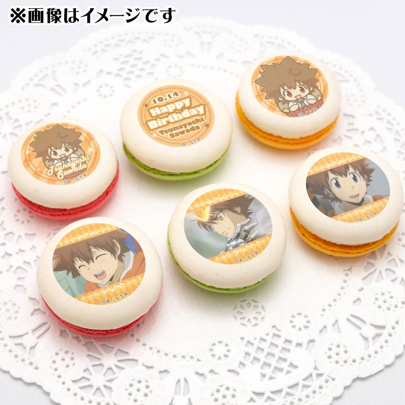 家庭教師ヒットマンREBORN! プリロール 限定 缶バッジ 沢田綱吉 11 プリケーキ（リボーン＆沢田綱吉）【特典缶バッジ付き】[家庭