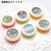 �ץ�ޥ�����6�ĥ��åȡʥѥ�ǥ�����ˡ���ŵ�̥Хå��դ���[���ä���ڥͥ���]