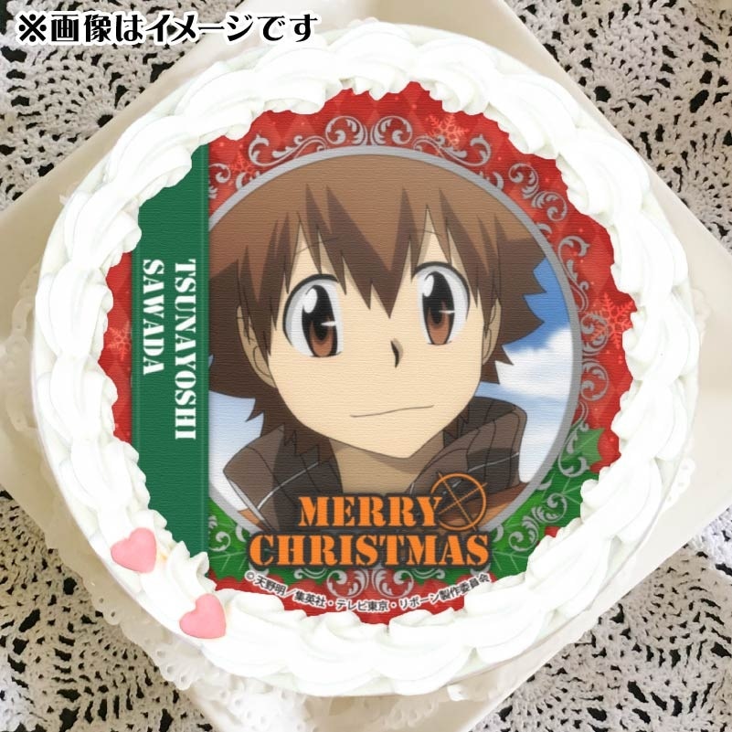 家庭教師ヒットマンreborn 沢田綱吉 プリロール限定 缶バッジ 11個セット 家庭教師ヒットマンREBORN! プリロール 限定 缶バッジ 沢田綱吉