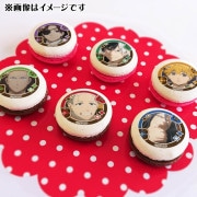 �Х�󥿥���ץ�ޥ�����6�ĥ��å�2025�ʽ���ˡ���ŵ�̥Хå��դ���[WIND BREAKER]