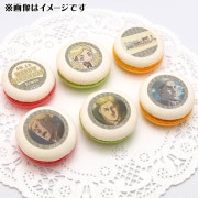 �С����ǡ��ץ�ޥ�����6�ĥ��å�2025�ʥ�������󡦥��ߥ��ˡ���ŵ�̥Хå��դ���[�ʷ�ε��]