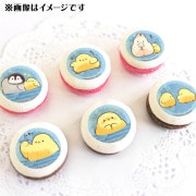 ۥ磻ȥǡץޥ6ĥå2025ŵ̥Хåդ[եԥ]