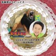 ڼ̿åۥץꥱʥ饤ˡŵ̥Хåդ[Ƕ޴]