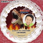 ڼ̿åۥץꥱʥƥΥ륹ˡŵ̥Хåդ[Ƕ޴]