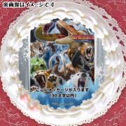 ڥåۥץꥱʽˡŵ̥Хåդ[Ƕ޴]