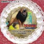 ڥåۥץꥱʥ饤ˡŵ̥Хåդ[Ƕ޴]