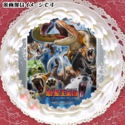 ץꥱʽˡŵ̥Хåդ[Ƕ޴]