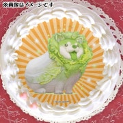 ץꥱʥϥ̡ˡŵ̥Хåդ[䤵]