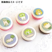 ۥ磻ȥǡץޥ6ĥå2025ʥϥ̡󥬡ˡŵ̥Хåդ[䤵]