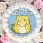 ۥ磻ȥǡץꥱ2025ʥ󥬡ˡŵ̥Хåդ[䤵]