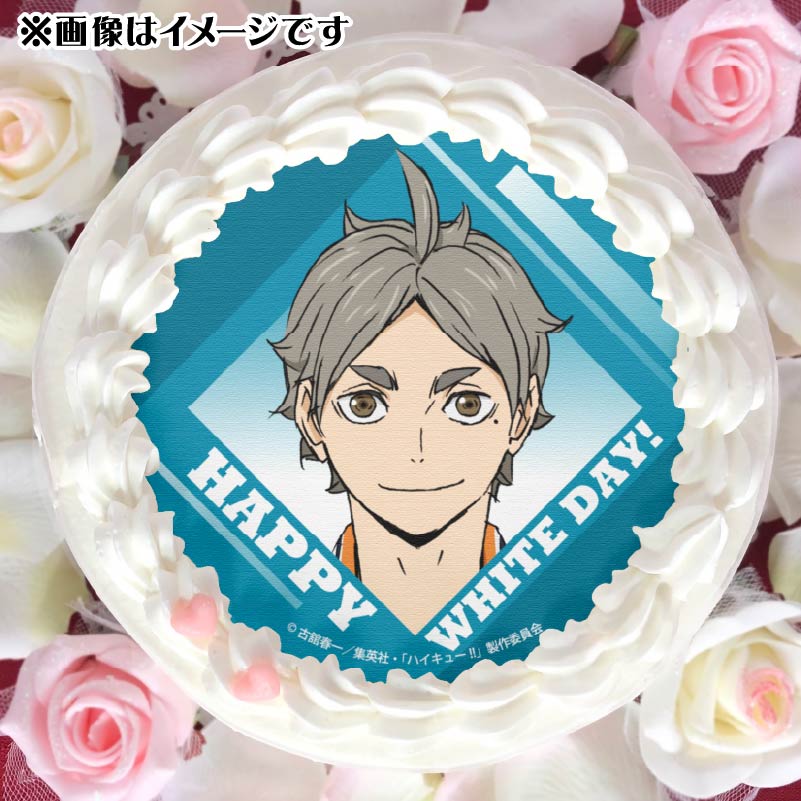 (新品未開封) ハイキュー もちマス 菅原孝支 14点 ハイキュー 菅原孝支 もちもちマスコット もちマス ぬいぐるみ
