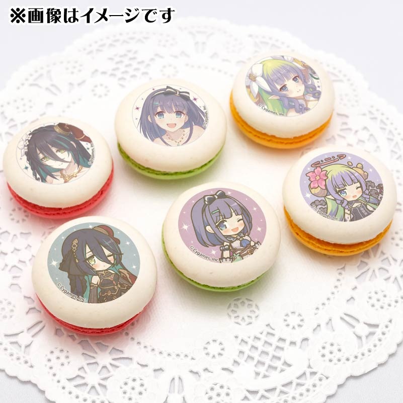 プリコネフェス2025記念プリマカロン6個セット（ランファ＆ミソラ