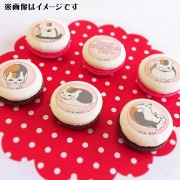 �Х�󥿥���ץ�ޥ�����6�ĥ��å�2025�ʥ˥�������ˡ���ŵ�̥Хå��դ���[����ͧ��Ģ]